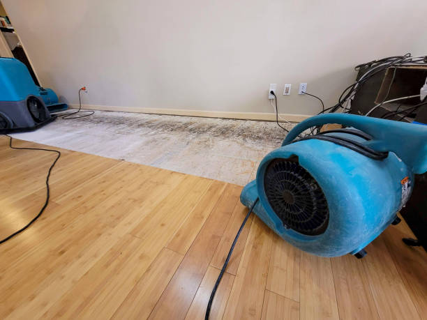 Professional Burst Pipe Water Damage technician working in Ravensdale, WA